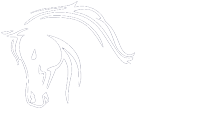 Equi-Jewel by Emily Galtry
