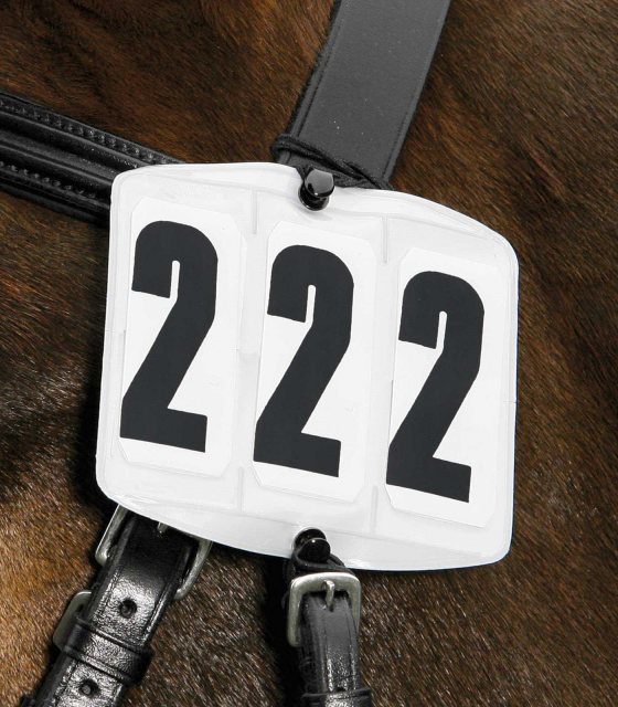 Waldhausen ELT Head Number - Square