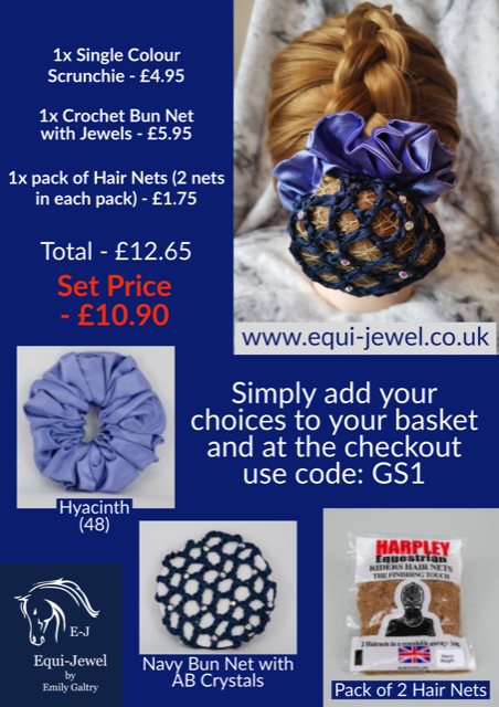 Equi-Jewel by Emily Galtry Gift Set 1 - 1 x Crochet Bun Net with Clear or AB Jewels, 1 x Single Colour Scrunchie and 1 x Pack of 2 Hair Nets