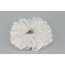 EJS-56 Darwen Ivory Scrunchie