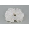 EJS-58 Palermo Ivory Scrunchie